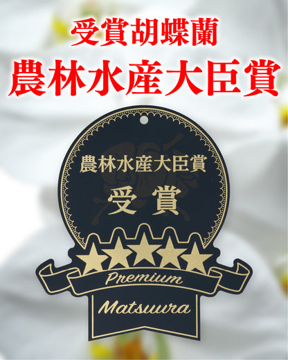 パープルエレガンス３本立ち36輪